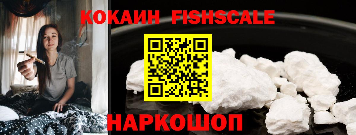 Сыктывкар  КОКАИН Fish Scale  Вход с VPN 
