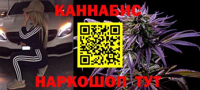 соль ск Можга